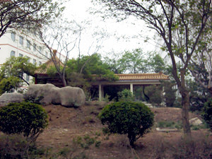 河北商貿(mào)學(xué)校校園假山